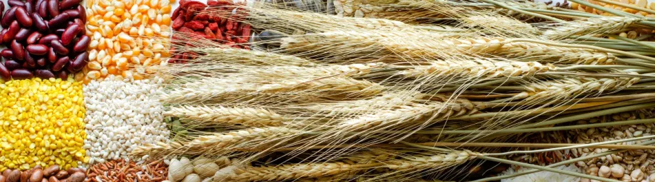 Co-ops Africa Commodities