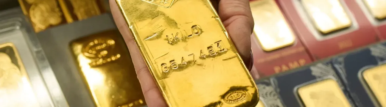Gold Mining Co-operative Society Limited