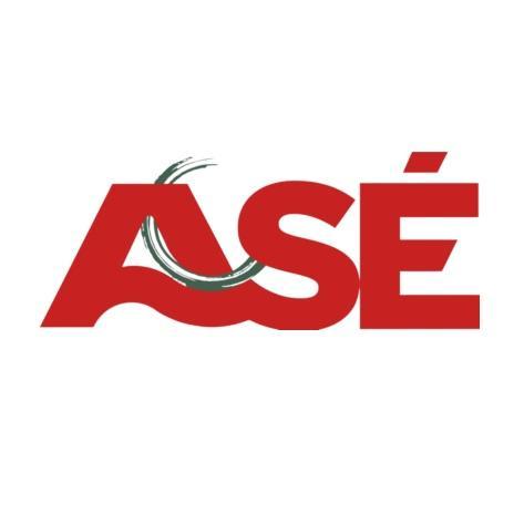 ASECON (PTY) LTD.